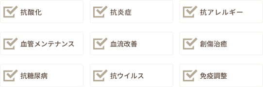 知的財産（商標・特許）